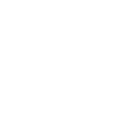 Half-Elf