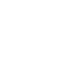 Half-Elf